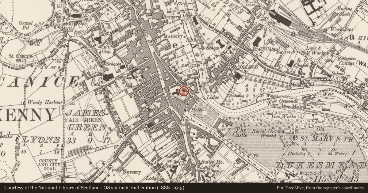 Ordnance Survey six-inch map, 2nd edition (1888–1915) covering the location of Tomb - chest tomb, Gardens (Kilkenny City By., St. Mary’s Par.), County Kilkenny, with a pin at the register's coordinates
