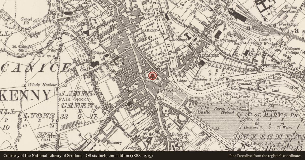Ordnance Survey six-inch map, 2nd edition (1888–1915) covering the location of Tomb - chest tomb, Gardens (Kilkenny City By., St. Mary’s Par.), County Kilkenny, with a pin at the register's coordinates
