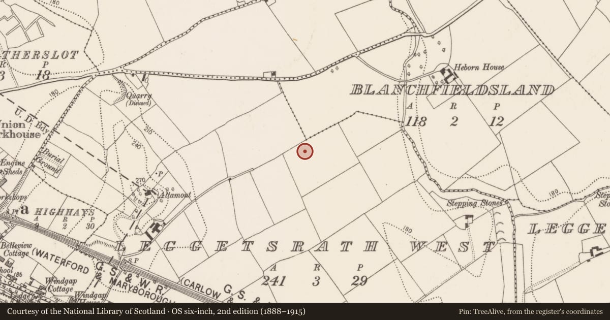 Ordnance Survey six-inch map, 2nd edition (1888–1915) covering the location of Tomb - chest tomb (present location), Leggetsrath West, County Kilkenny, with a pin at the register's coordinates