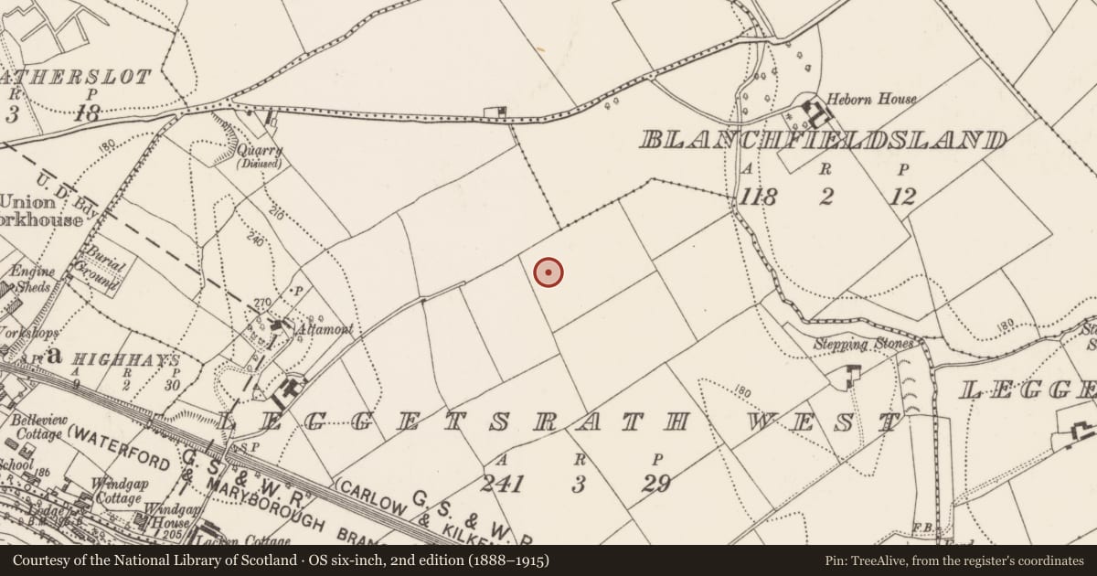 Ordnance Survey six-inch map, 2nd edition (1888–1915) covering the location of Cross-slab (present location), Leggetsrath West, County Kilkenny, with a pin at the register's coordinates