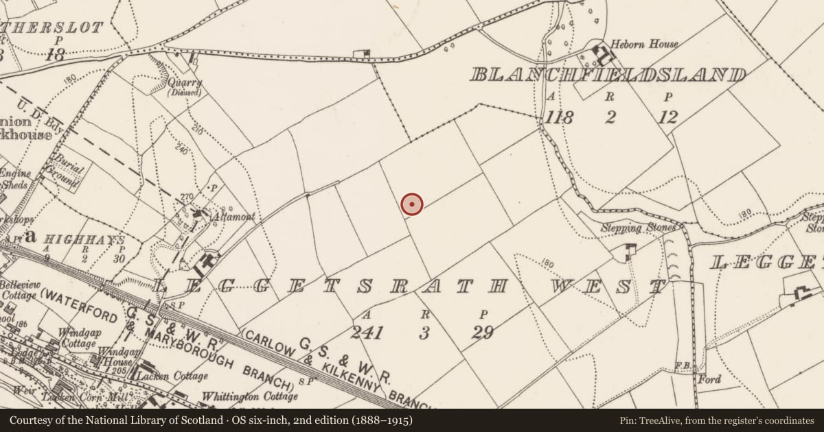 Ordnance Survey six-inch map, 2nd edition (1888–1915) covering the location of Architectural fragment, Leggetsrath West, County Kilkenny, with a pin at the register's coordinates