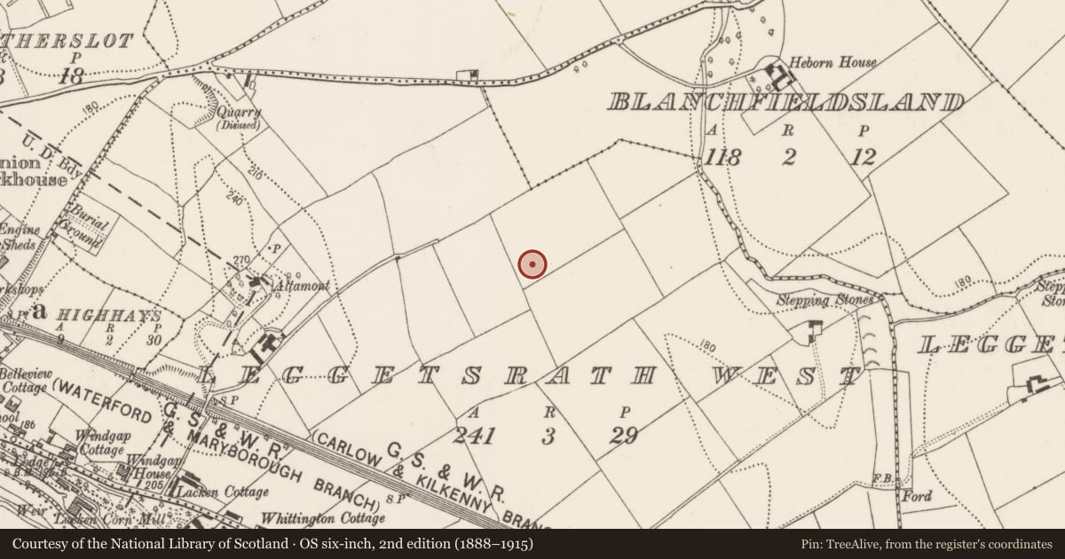 Ordnance Survey six-inch map, 2nd edition (1888–1915) covering the location of Architectural fragment, Leggetsrath West, County Kilkenny, with a pin at the register's coordinates