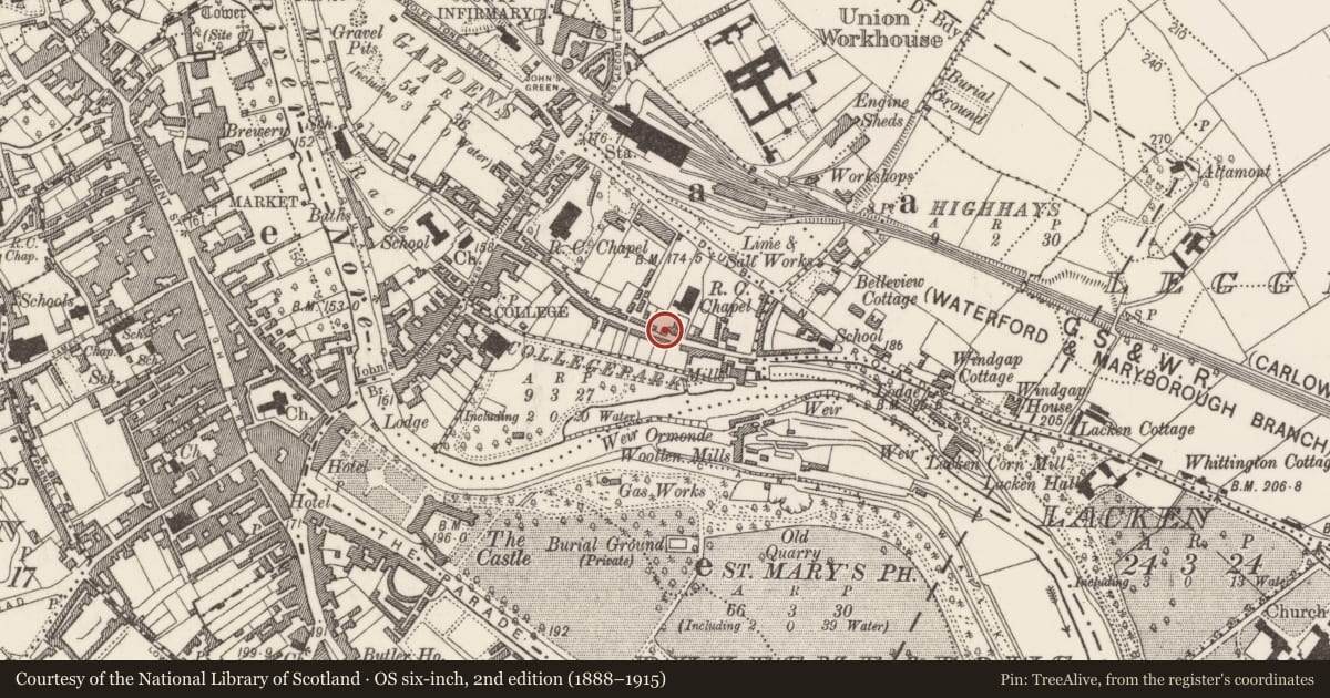 Ordnance Survey six-inch map, 2nd edition (1888–1915) covering the location of Graveslab (present location), Gardens (Kilkenny City By., St. John's Par.), County Kilkenny, with a pin at the register's coordinates