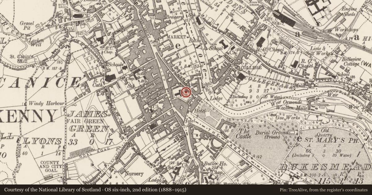 Ordnance Survey six-inch map, 2nd edition (1888–1915) covering the location of Graveslab (present location), Gardens (Kilkenny City By., St. Mary’s Par.), County Kilkenny, with a pin at the register's coordinates