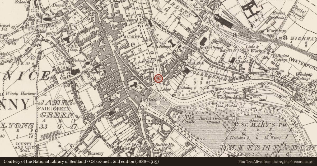 Ordnance Survey six-inch map, 2nd edition (1888–1915) covering the location of Graveslab, County Kilkenny, with a pin at the register's coordinates