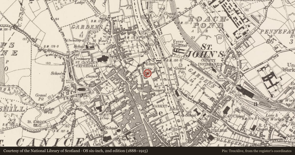 Ordnance Survey six-inch map, 2nd edition (1888–1915) covering the location of Sarcophagus, Gardens (Kilkenny City By., St. Mary’s Par.), County Kilkenny, with a pin at the register's coordinates
