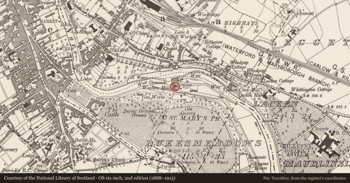 Ordnance Survey six-inch map, 2nd edition (1888–1915) covering the location of Water mill - vertical-wheeled, Dukesmeadows (Shillelogher By., St. John's Par.), County Kilkenny, with a pin at the register's coordinates