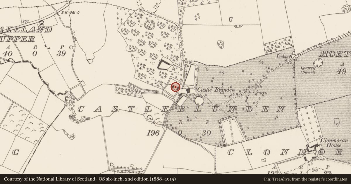 Ordnance Survey six-inch map, 2nd edition (1888–1915) covering the location of Bawn, Castleblunden, County Kilkenny, with a pin at the register's coordinates