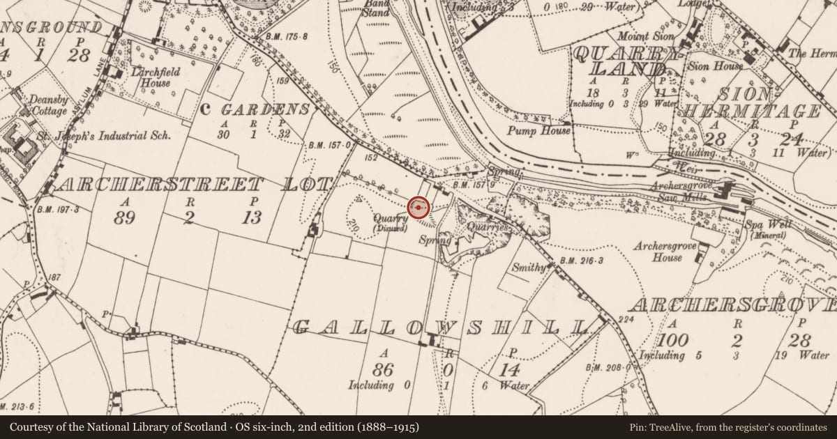 Ordnance Survey six-inch map, 2nd edition (1888–1915) covering the location of Burial ground, Gallowshill, County Kilkenny, with a pin at the register's coordinates