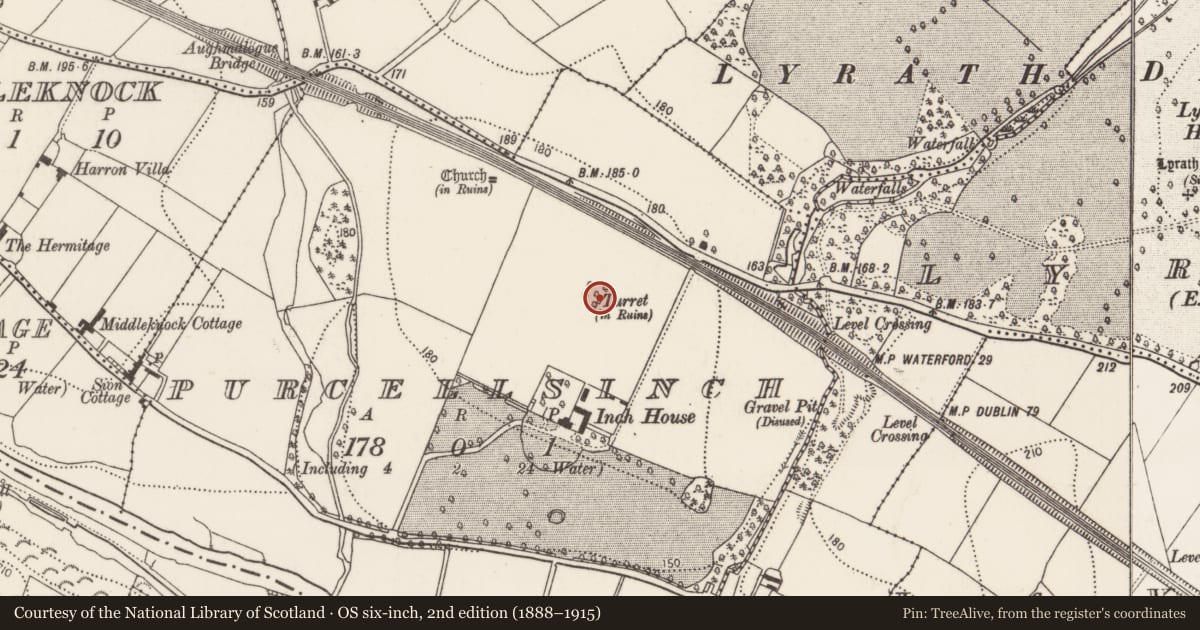 Ordnance Survey six-inch map, 2nd edition (1888–1915) covering the location of Designed landscape - tree-ring, Purcellsinch, County Kilkenny, with a pin at the register's coordinates