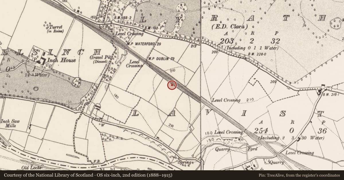 Ordnance Survey six-inch map, 2nd edition (1888–1915) covering the location of Enclosure, Lavistown, County Kilkenny, with a pin at the register's coordinates