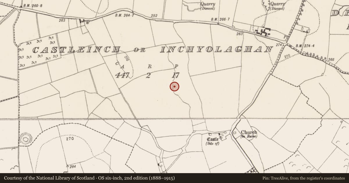 Ordnance Survey six-inch map, 2nd edition (1888–1915) covering the location of Water mill - horizontal-wheeled, Castleinch Or Inchyolaghan, County Kilkenny, with a pin at the register's coordinates