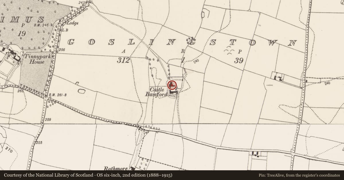 Ordnance Survey six-inch map, 2nd edition (1888–1915) covering the location of House - 16th/17th century, Goslingstown, County Kilkenny, with a pin at the register's coordinates
