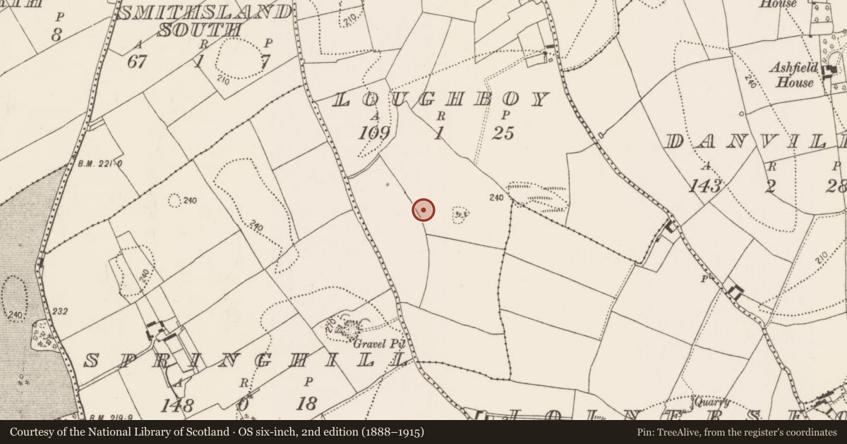 Ordnance Survey six-inch map, 2nd edition (1888–1915) covering the location of Ringfort - rath, Loughboy, County Kilkenny, with a pin at the register's coordinates