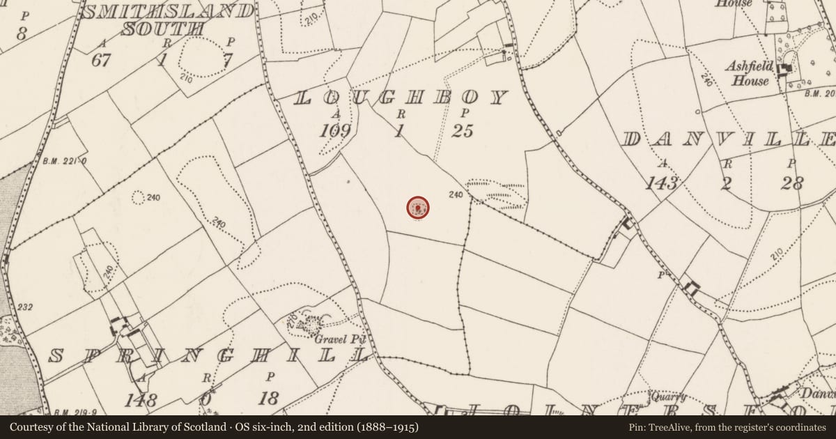 Ordnance Survey six-inch map, 2nd edition (1888–1915) covering the location of Enclosure, Loughboy, County Kilkenny, with a pin at the register's coordinates
