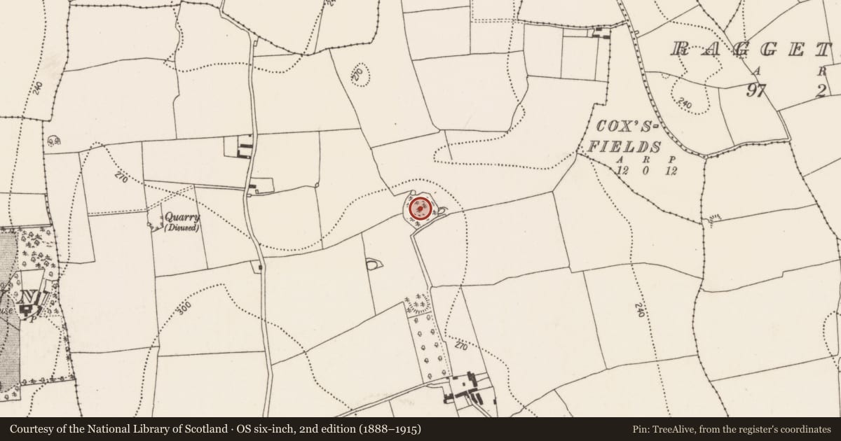 Ordnance Survey six-inch map, 2nd edition (1888–1915) covering the location of Enclosure - large enclosure, Outrath, County Kilkenny, with a pin at the register's coordinates