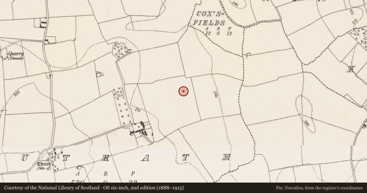 Ordnance Survey six-inch map, 2nd edition (1888–1915) covering the location of Enclosure, Outrath, County Kilkenny, with a pin at the register's coordinates