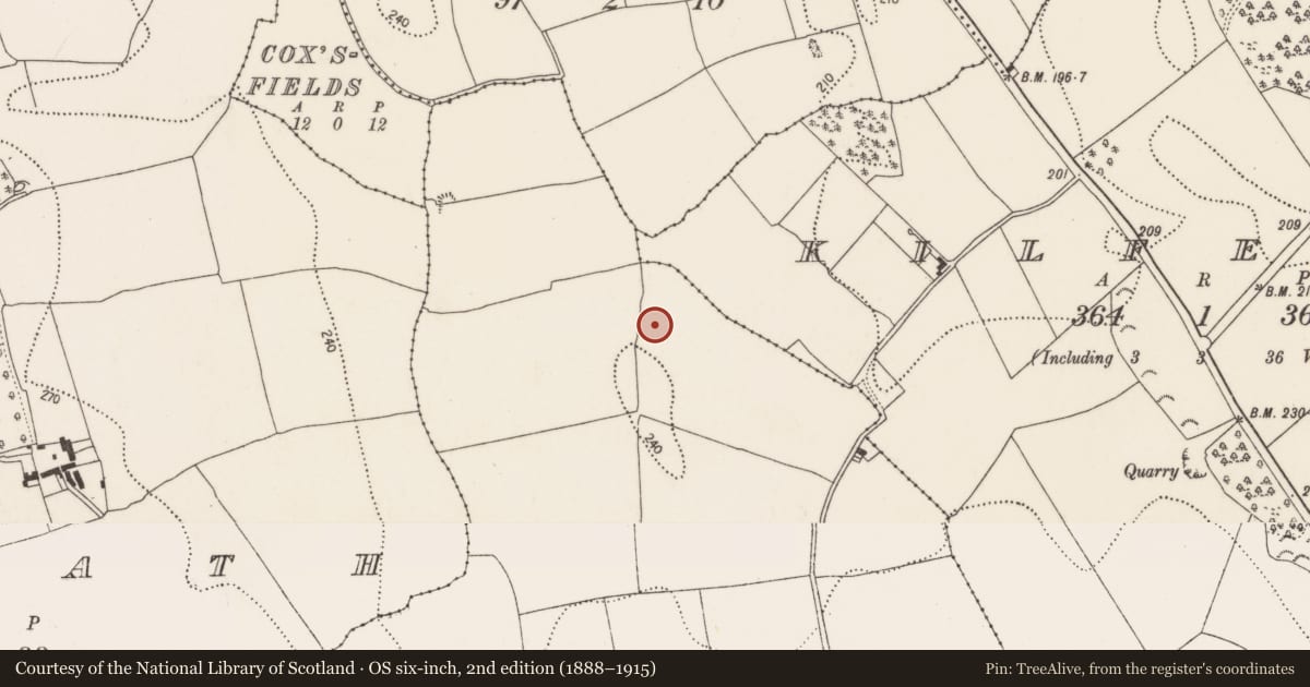 Ordnance Survey six-inch map, 2nd edition (1888–1915) covering the location of Enclosure, Furzehouse, County Kilkenny, with a pin at the register's coordinates