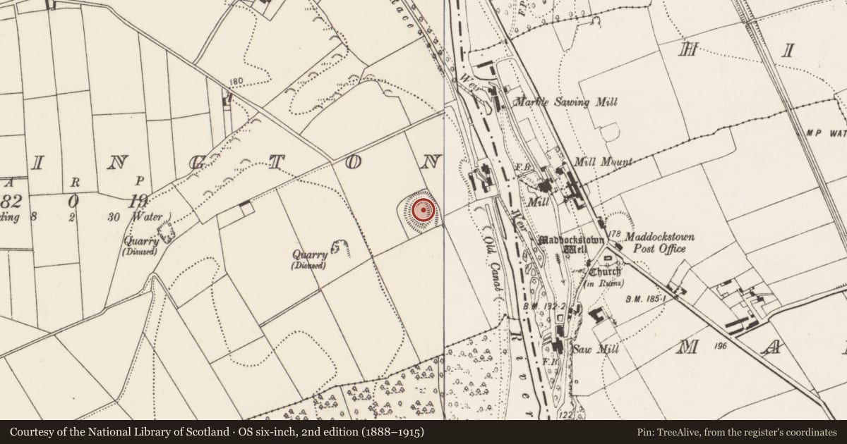 Ordnance Survey six-inch map, 2nd edition (1888–1915) covering the location of Enclosure, Warrington, County Kilkenny, with a pin at the register's coordinates