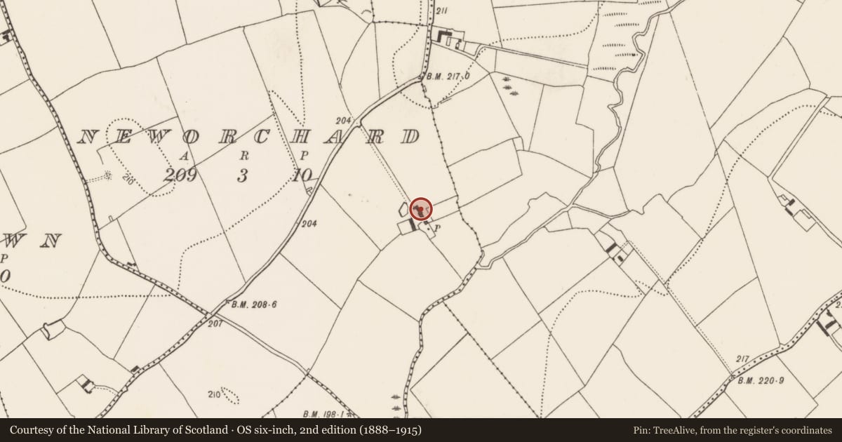 Ordnance Survey six-inch map, 2nd edition (1888–1915) covering the location of House - 17th century, Neworchard, County Kilkenny, with a pin at the register's coordinates