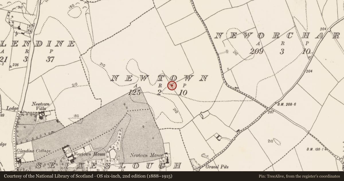 Ordnance Survey six-inch map, 2nd edition (1888–1915) covering the location of Fulacht fia, Newtown, County Kilkenny, with a pin at the register's coordinates