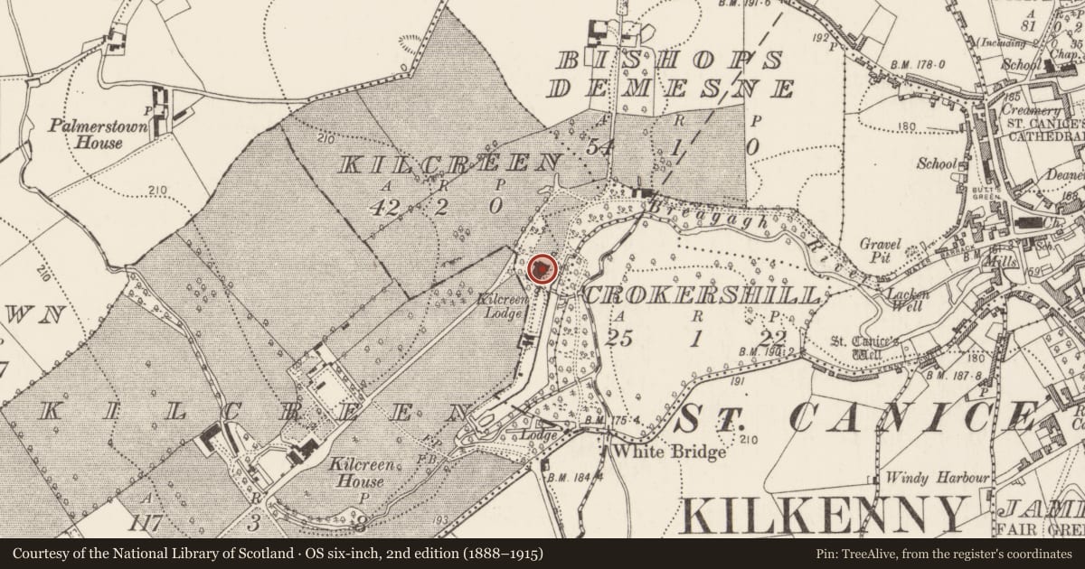 Ordnance Survey six-inch map, 2nd edition (1888–1915) covering the location of Architectural feature, Kilcreen, County Kilkenny, with a pin at the register's coordinates