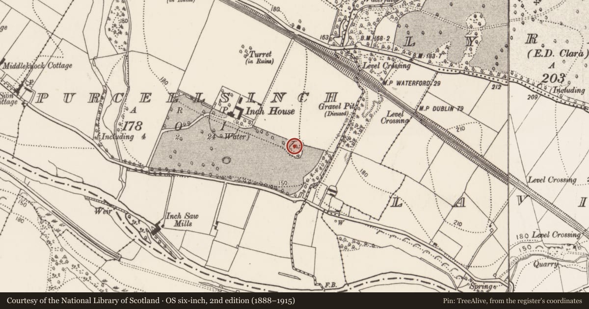 Ordnance Survey six-inch map, 2nd edition (1888–1915) covering the location of Castle - ringwork, Purcellsinch, County Kilkenny, with a pin at the register's coordinates