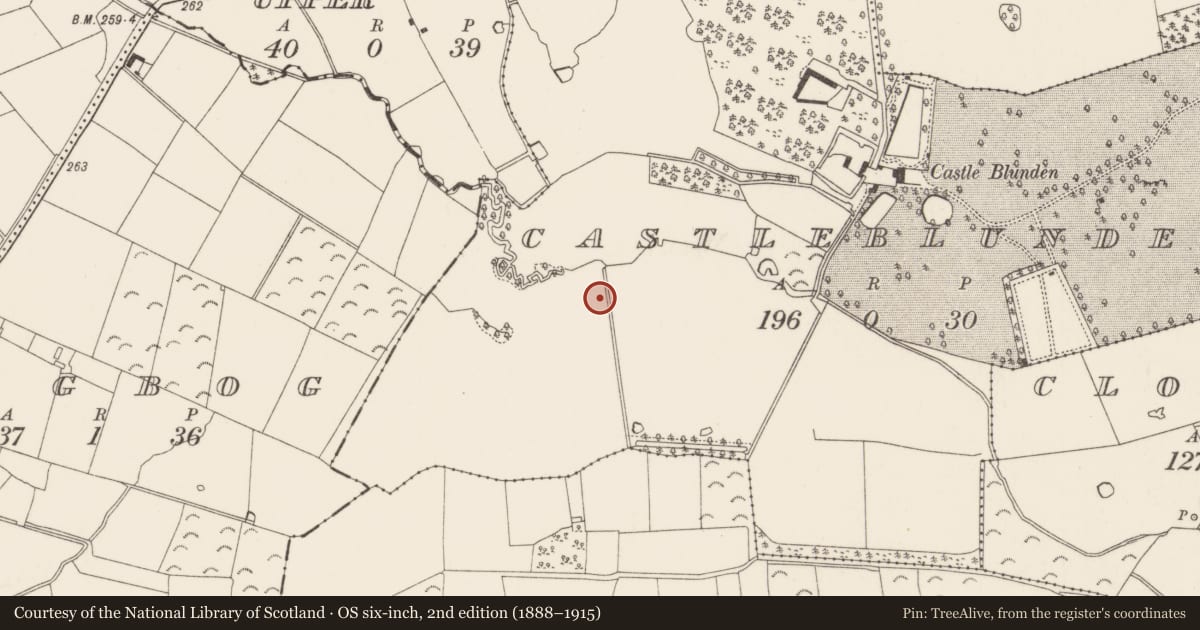 Ordnance Survey six-inch map, 2nd edition (1888–1915) covering the location of Pit-burial, Castleblunden, County Kilkenny, with a pin at the register's coordinates