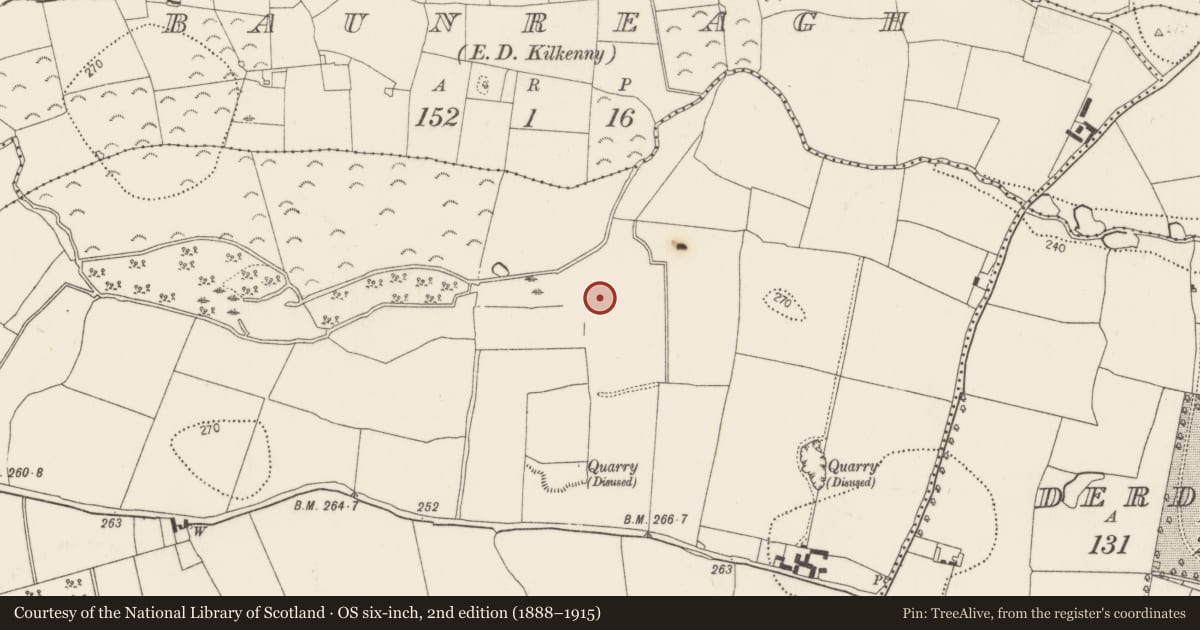 Ordnance Survey six-inch map, 2nd edition (1888–1915) covering the location of Fulacht fia, Castleinch Or Inchyolaghan, County Kilkenny, with a pin at the register's coordinates