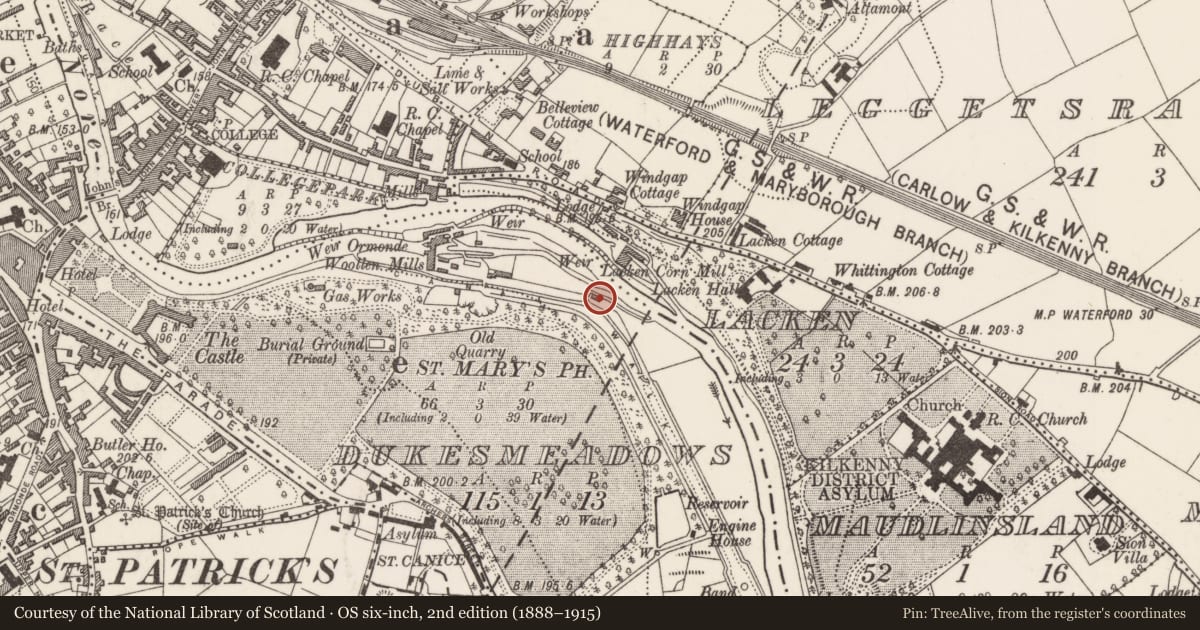Ordnance Survey six-inch map, 2nd edition (1888–1915) covering the location of Water mill - vertical-wheeled, Dukesmeadows (Shillelogher By., St. John's Par.), County Kilkenny, with a pin at the register's coordinates