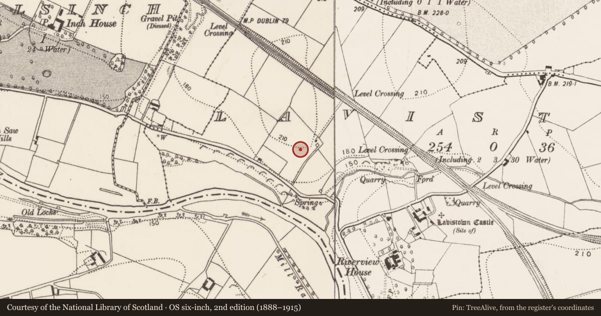 Ordnance Survey six-inch map, 2nd edition (1888–1915) covering the location of Enclosure, Lavistown, County Kilkenny, with a pin at the register's coordinates