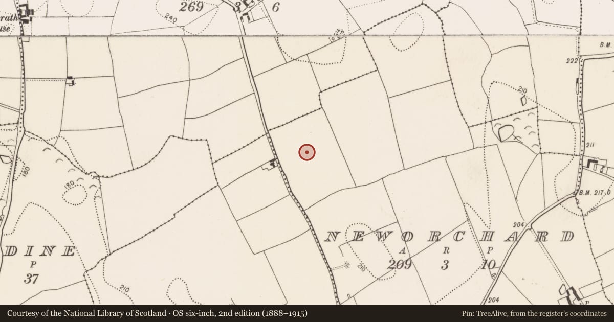 Ordnance Survey six-inch map, 2nd edition (1888–1915) covering the location of Enclosure, Neworchard, County Kilkenny, with a pin at the register's coordinates