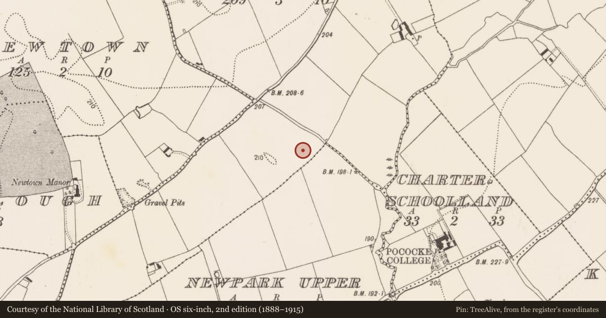 Ordnance Survey six-inch map, 2nd edition (1888–1915) covering the location of Ring-ditch, Newpark Upper, County Kilkenny, with a pin at the register's coordinates