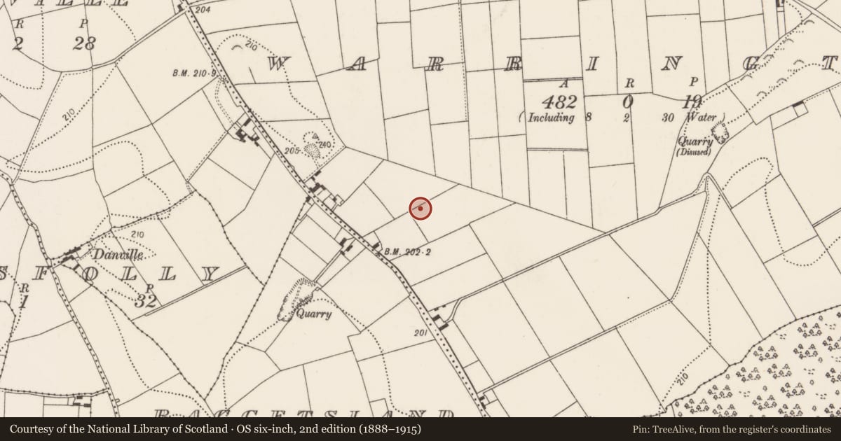 Ordnance Survey six-inch map, 2nd edition (1888–1915) covering the location of Enclosure, Warrington, County Kilkenny, with a pin at the register's coordinates