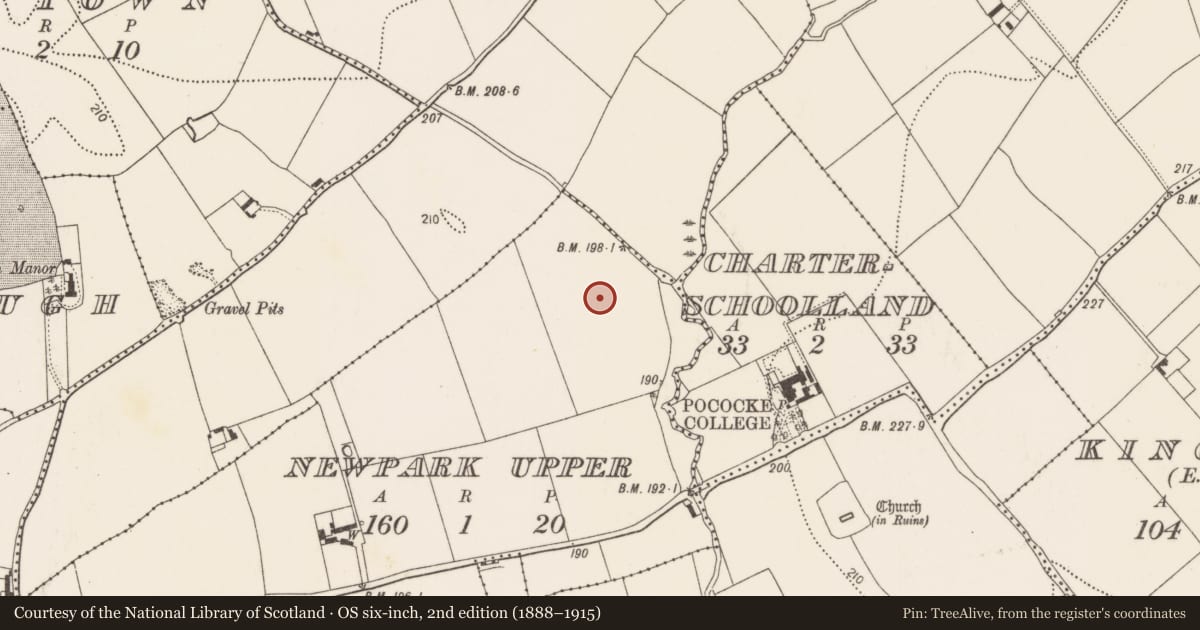 Ordnance Survey six-inch map, 2nd edition (1888–1915) covering the location of Field system, Newpark Upper, County Kilkenny, with a pin at the register's coordinates