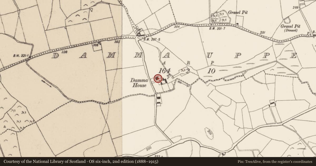 Ordnance Survey six-inch map, 2nd edition (1888–1915) covering the location of House - 17th century, Damma Upper, County Kilkenny, with a pin at the register's coordinates