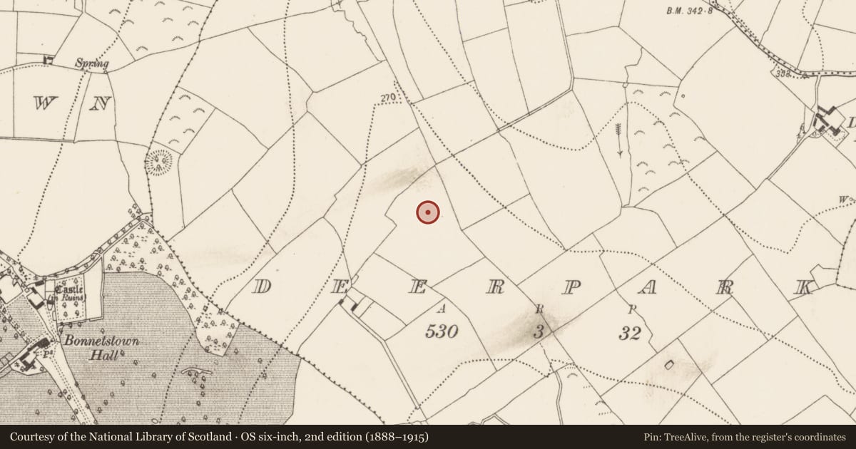 Ordnance Survey six-inch map, 2nd edition (1888–1915) covering the location of Field system, Deerpark, County Kilkenny, with a pin at the register's coordinates