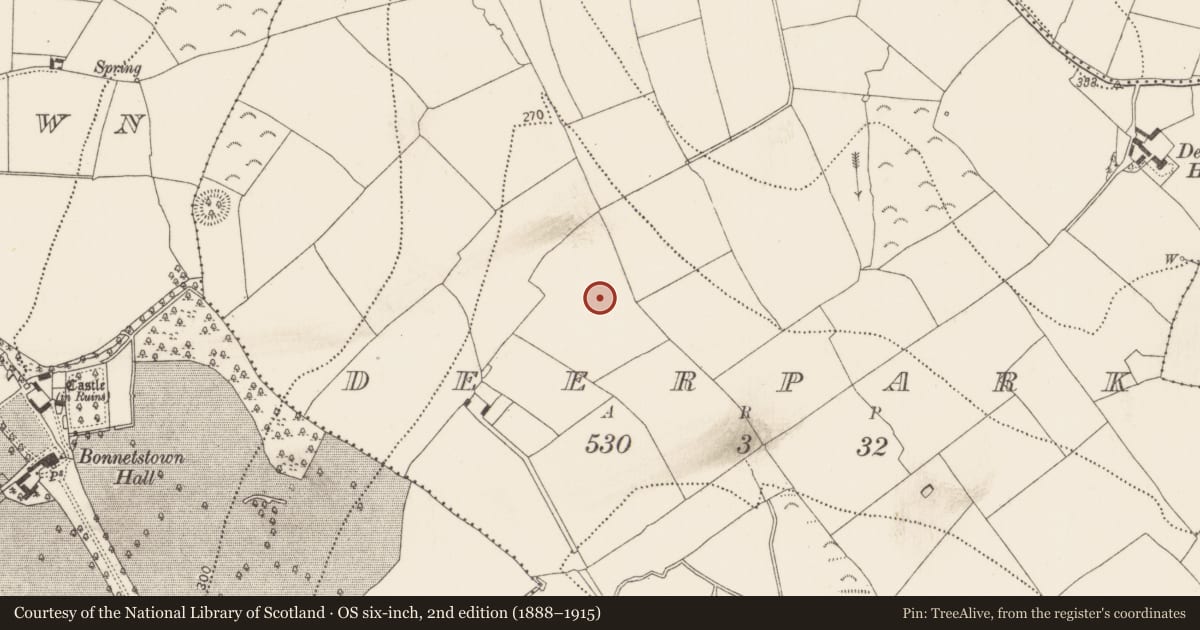 Ordnance Survey six-inch map, 2nd edition (1888–1915) covering the location of Souterrain, Deerpark, County Kilkenny, with a pin at the register's coordinates