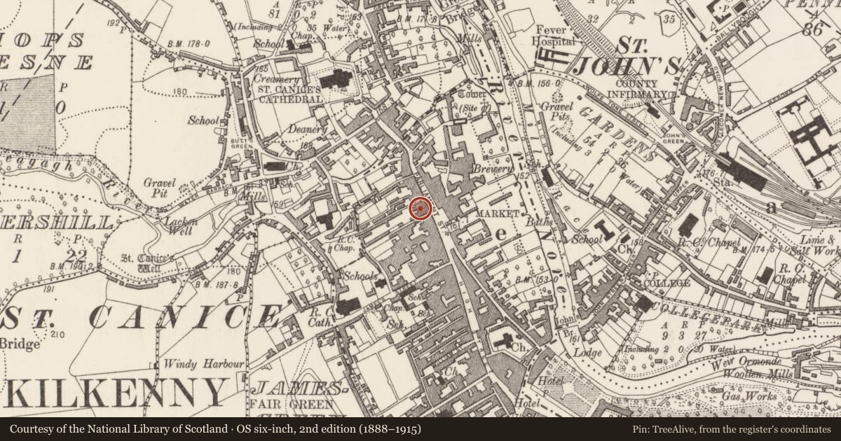 Ordnance Survey six-inch map, 2nd edition (1888–1915) covering the location of Ogham stone (present location), Gardens (Kilkenny City By., St. Mary’s Par.), County Kilkenny, with a pin at the register's coordinates