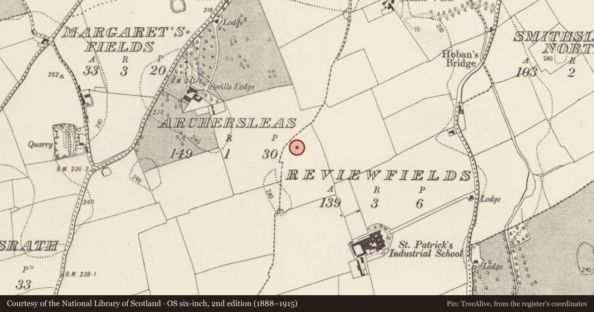 Ordnance Survey six-inch map, 2nd edition (1888–1915) covering the location of Field system, Reviewfields, County Kilkenny, with a pin at the register's coordinates