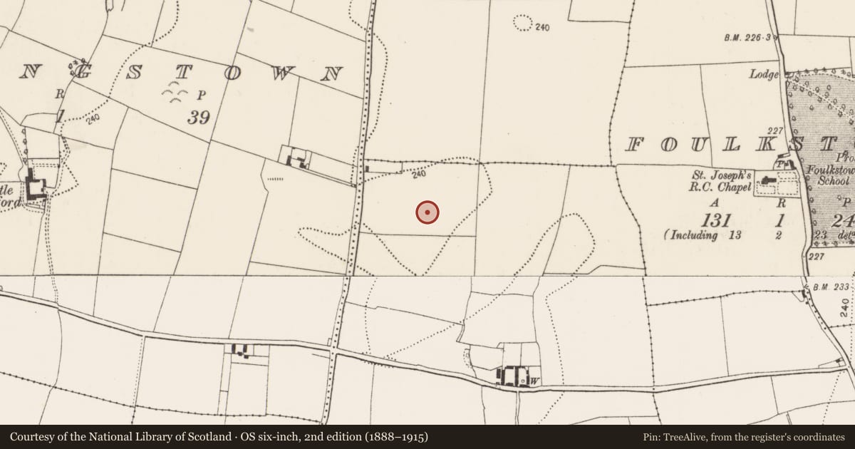 Ordnance Survey six-inch map, 2nd edition (1888–1915) covering the location of Ring-ditch, Ballynalina, County Kilkenny, with a pin at the register's coordinates
