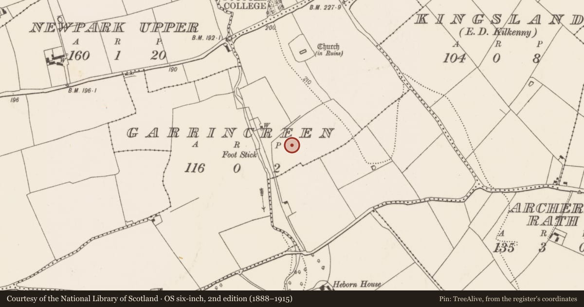 Ordnance Survey six-inch map, 2nd edition (1888–1915) covering the location of Enclosure, Garrincreen, County Kilkenny, with a pin at the register's coordinates