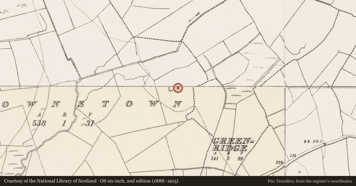 Ordnance Survey six-inch map, 2nd edition (1888–1915) covering the location of Enclosure, Brownstown, County Kilkenny, with a pin at the register's coordinates