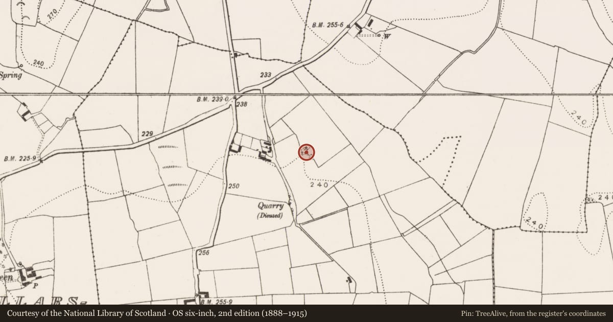 Ordnance Survey six-inch map, 2nd edition (1888–1915) covering the location of Ringfort - rath, Higginstown, County Kilkenny, with a pin at the register's coordinates
