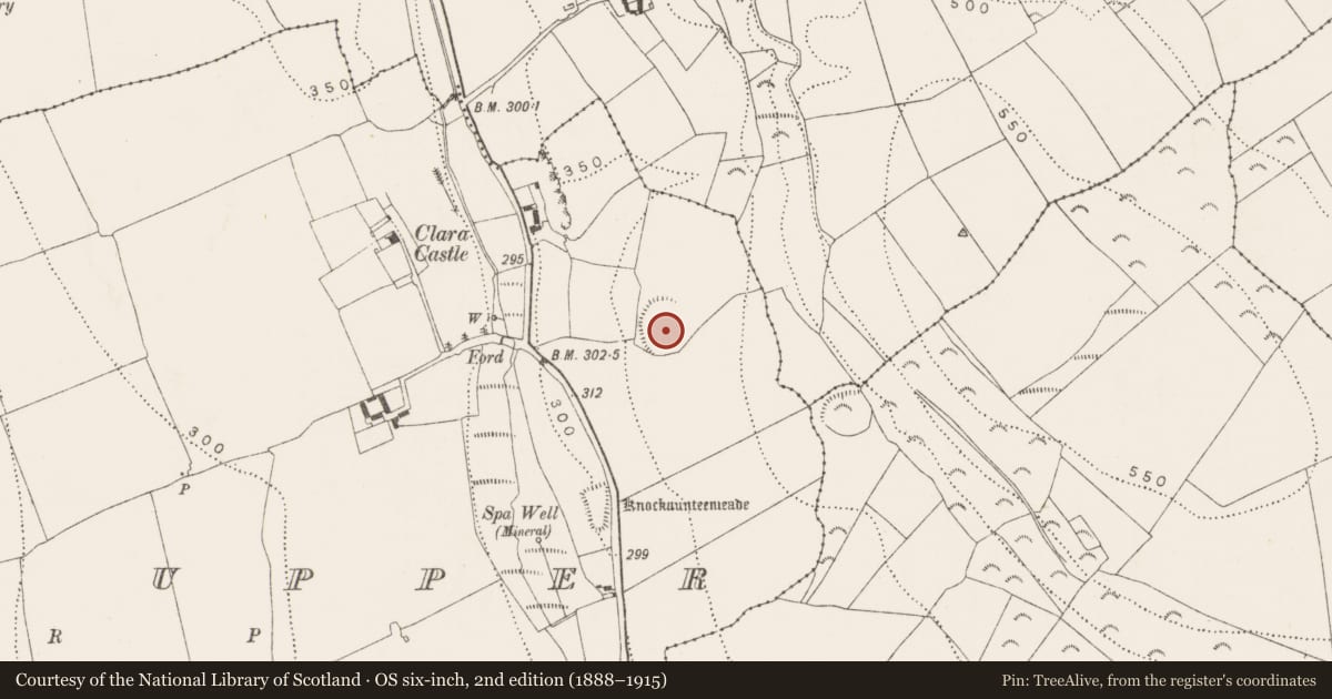 Ordnance Survey six-inch map, 2nd edition (1888–1915) covering the location of Enclosure - large enclosure, Clara Upper, County Kilkenny, with a pin at the register's coordinates