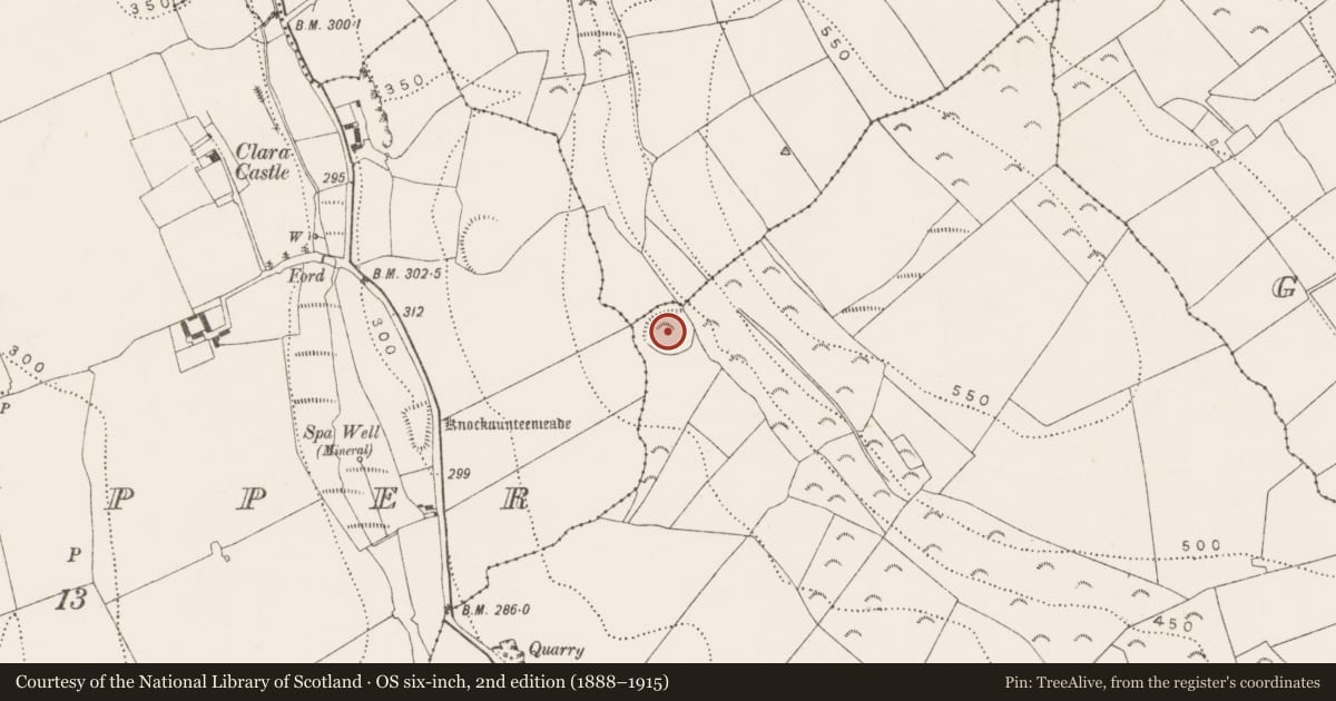 Ordnance Survey six-inch map, 2nd edition (1888–1915) covering the location of Enclosure - large enclosure, Clarabricken, County Kilkenny, with a pin at the register's coordinates