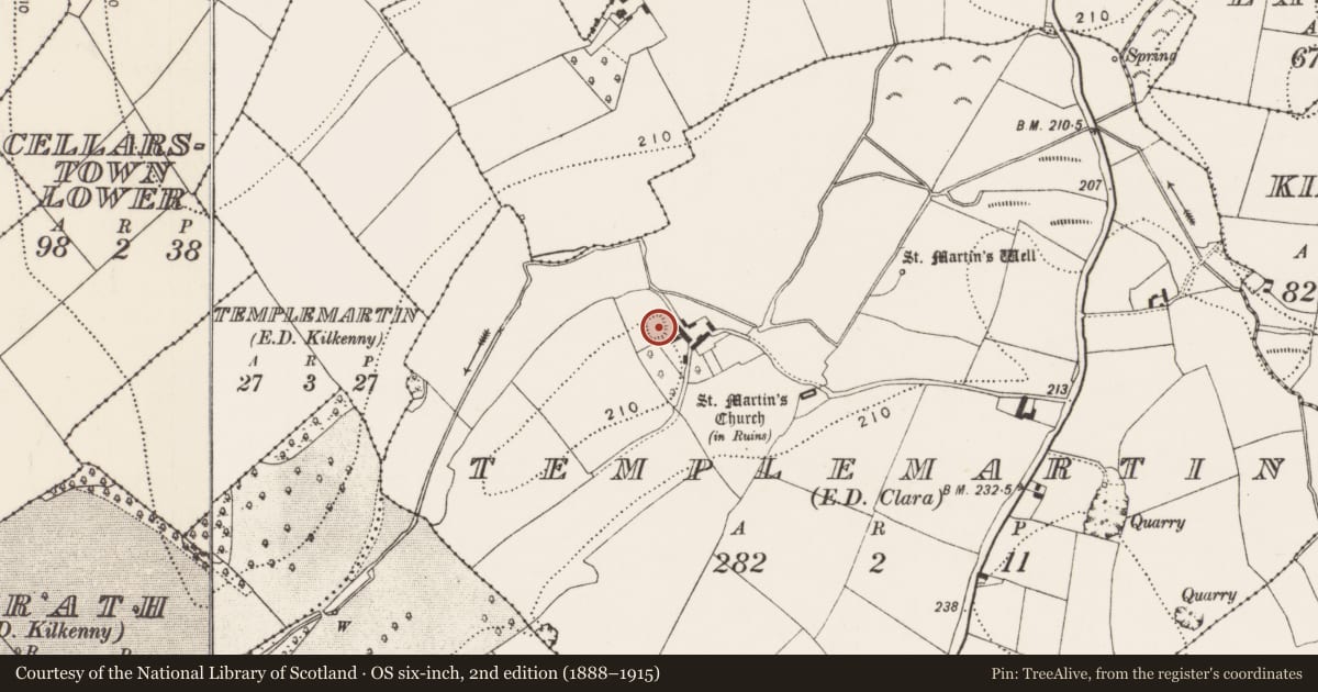 Ordnance Survey six-inch map, 2nd edition (1888–1915) covering the location of Enclosure, Templemartin, County Kilkenny, with a pin at the register's coordinates