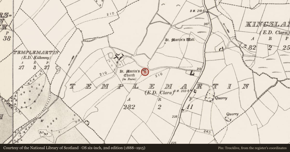 Ordnance Survey six-inch map, 2nd edition (1888–1915) covering the location of Graveyard, Templemartin, County Kilkenny, with a pin at the register's coordinates