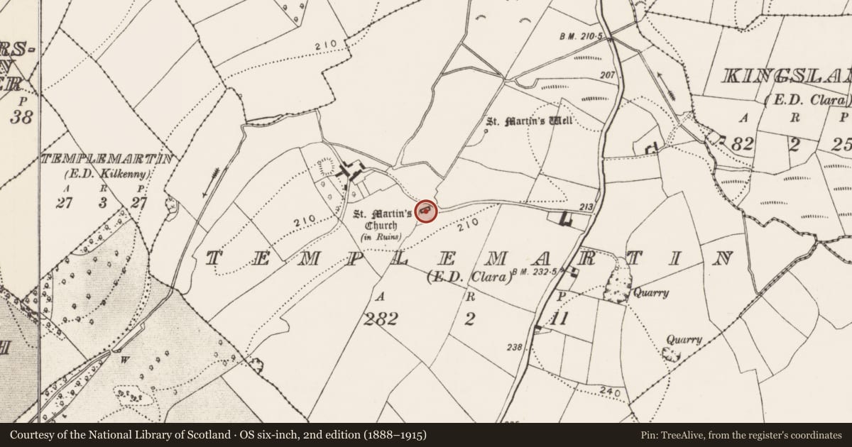 Ordnance Survey six-inch map, 2nd edition (1888–1915) covering the location of Graveslab, Templemartin, County Kilkenny, with a pin at the register's coordinates