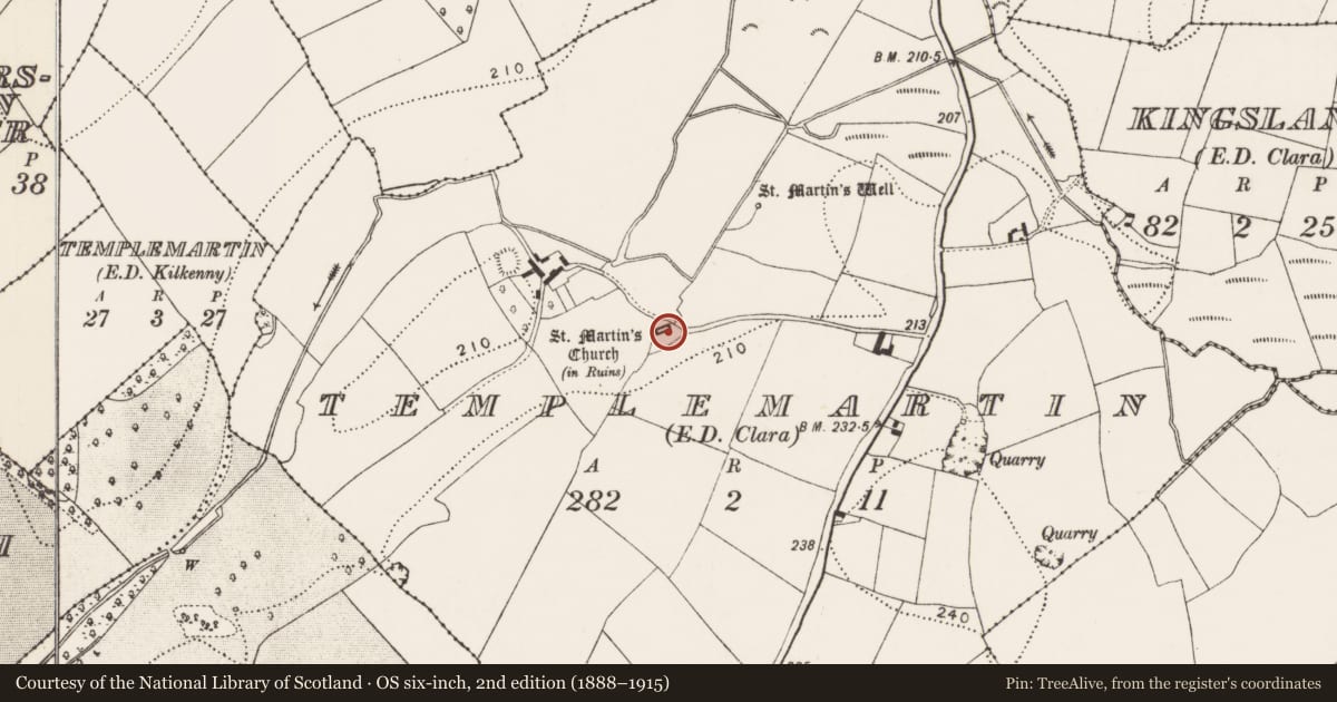 Ordnance Survey six-inch map, 2nd edition (1888–1915) covering the location of Graveslab, Templemartin, County Kilkenny, with a pin at the register's coordinates